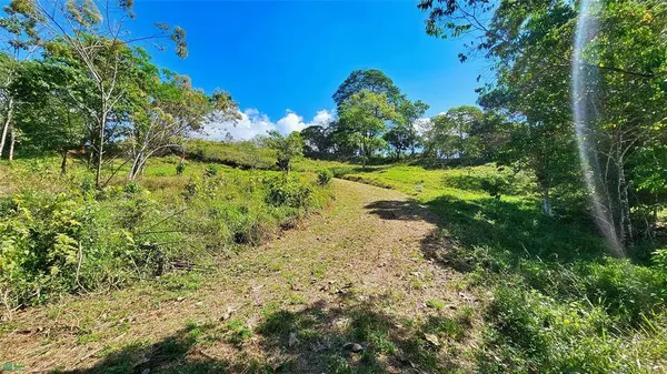 Sunset Valley Finca Tambor, 11908