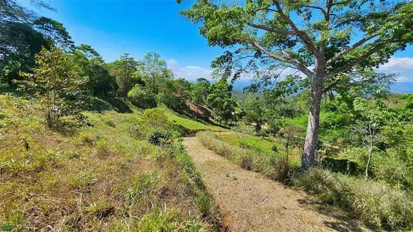 Sunset Valley Finca Tambor, 11908