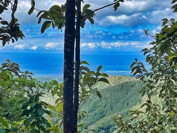 Ocean View Finca Playa Carillo, 51101