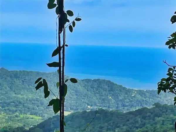 Ocean View Finca Playa Carillo, 51101