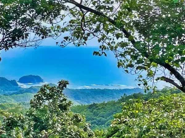 Ocean View Finca Playa Carillo, 51101