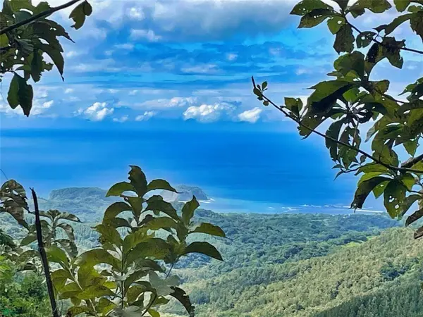 Ocean View Finca Playa Carillo, 51101