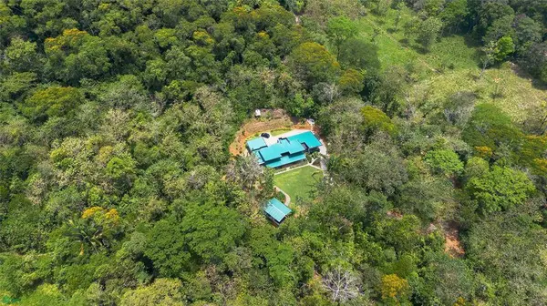 The Hidden Jungle Residence, SanJose 11909