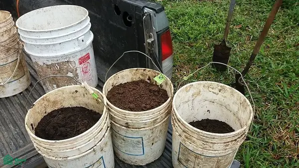 Finca Hamacas, San Vito, Puntarenas 60101