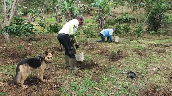Finca Hamacas, San Vito, Puntarenas 60101
