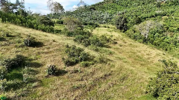 Lot Brisas del Sur, Platanares, SanJose 11906