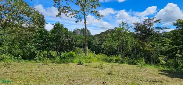 Lot Brisas del Sur, Platanares, SanJose 11906
