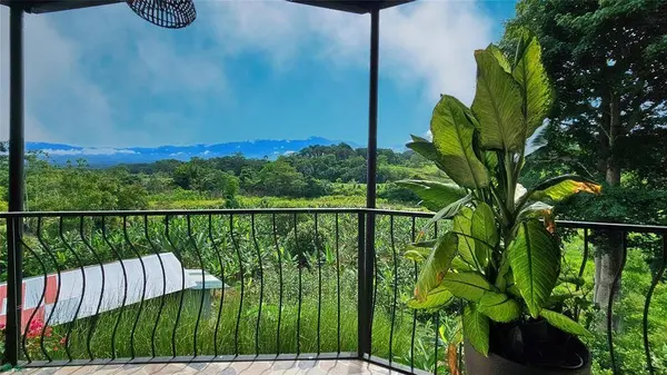 Finca Interamericana, Daniel Flores, SanJose 11903