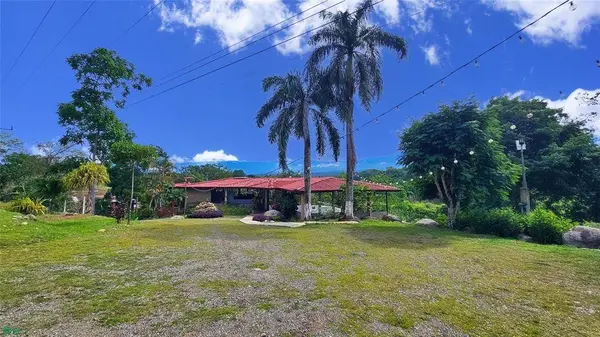 Finca Interamericana, Daniel Flores, SanJose 11903