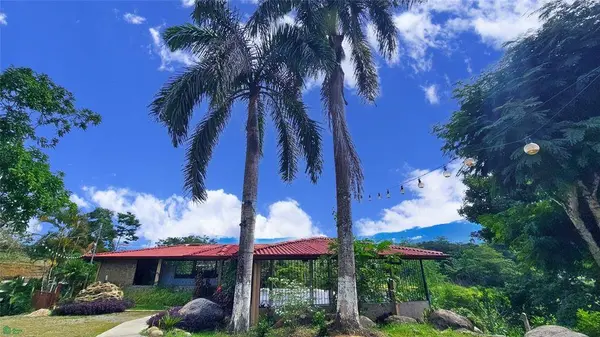 Finca Interamericana, Daniel Flores, SanJose 11903