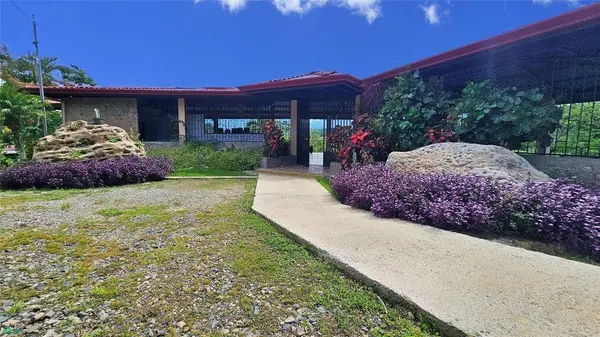 Finca Interamericana, Daniel Flores, SanJose 11903