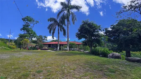 Finca Interamericana, Daniel Flores, SanJose 11903