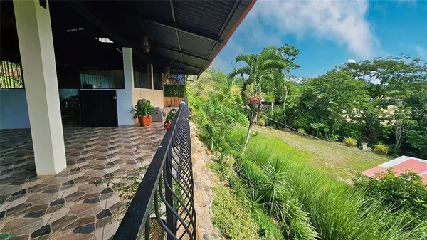 Finca Interamericana, Daniel Flores, SanJose 11903