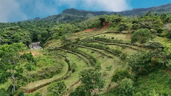 Finca Tambor, San Pedro, SanJose 11905