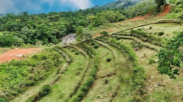 Finca Tambor, San Pedro, SanJose 11905