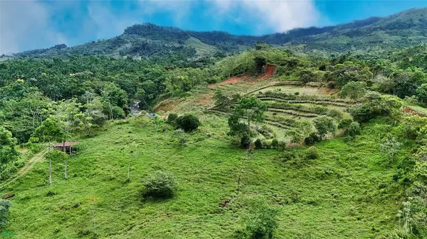 Finca Tambor, San Pedro, SanJose 11905