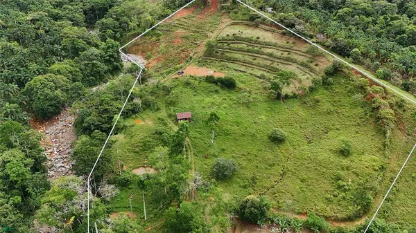 Finca Tambor, San Pedro, SanJose 11905