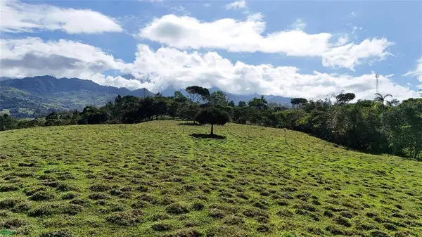 Finca Valle de Gracia, Cajón, SanJose 11908