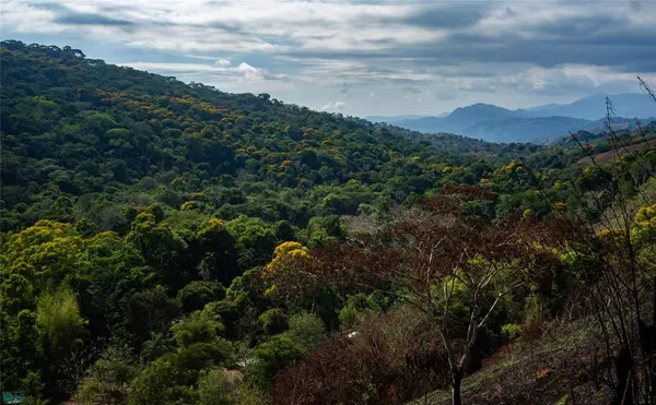 44-Hectare Diamante Valley Estate, Barú, SanJose 11909