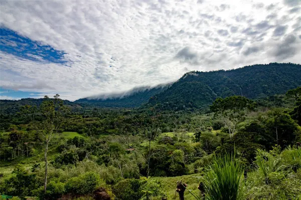 44-Hectare Diamante Valley Estate, Barú, SanJose 11909