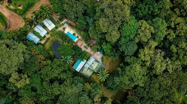 Jardines del Río, Puerto Cortés, Puntarenas 60501