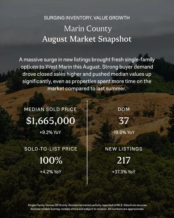 feature image of September Market Report