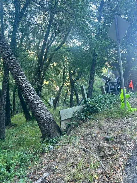 146 Allyn AVE, San Anselmo, CA 94960