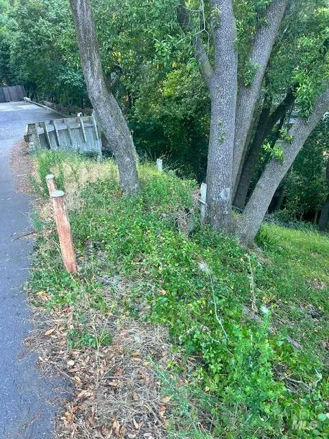 146 Allyn AVE, San Anselmo, CA 94960