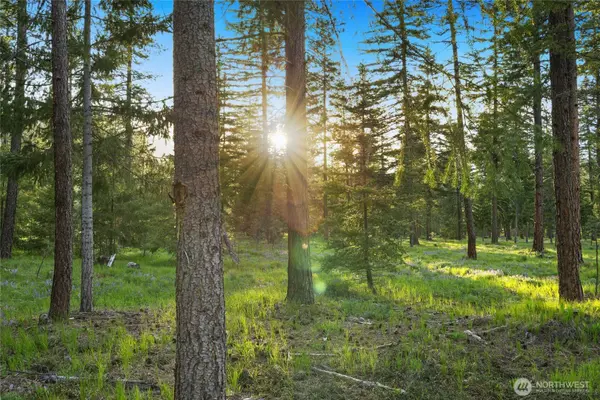 1001 Domerie Park LOOP, Cle Elum, WA 98922