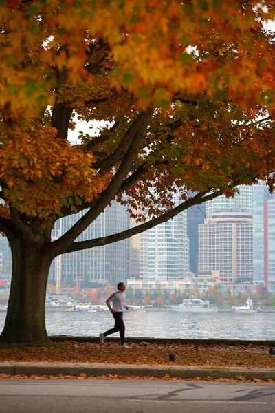 Coal Harbour