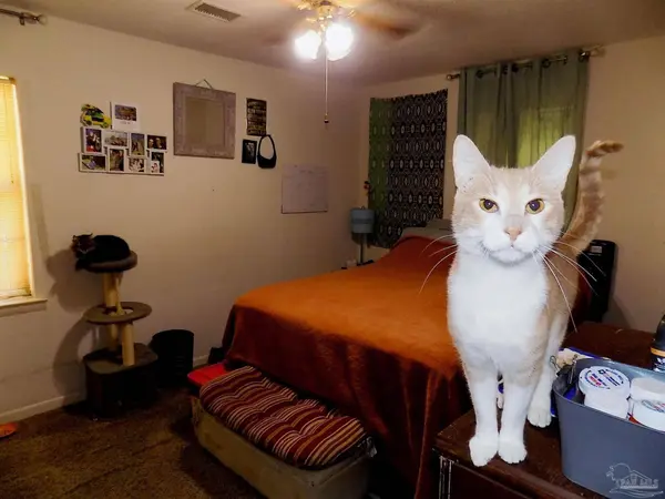 5774 Northrop Rd, Milton, FL 32570