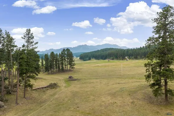 TBD PINK CABIN RD, SD 57745