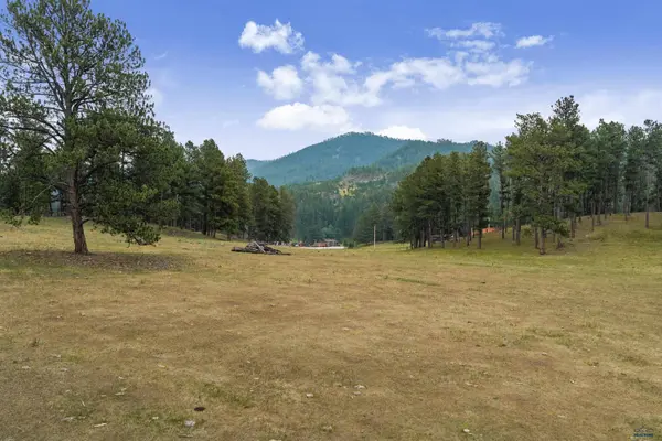 TBD PINK CABIN RD, SD 57745