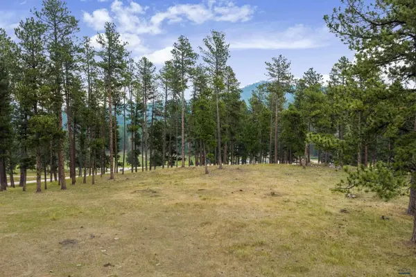 TBD PINK CABIN RD, SD 57745