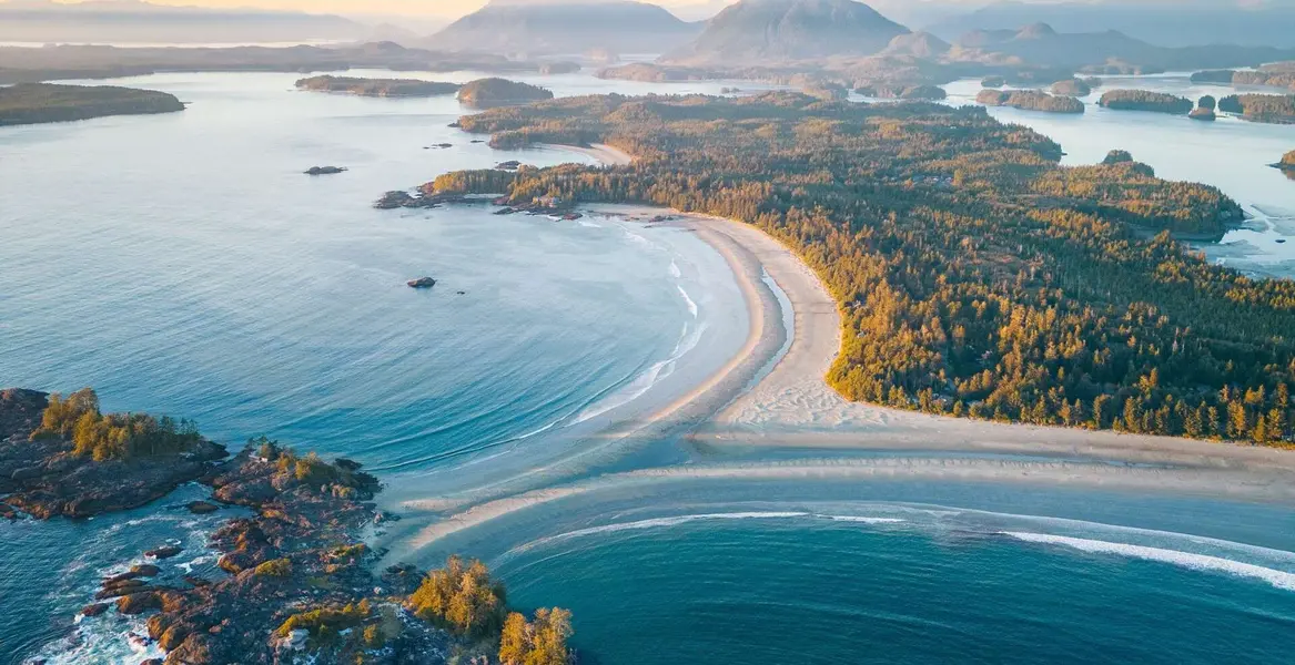 Tofino