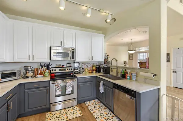 431 Black Feather LOOP #820, Castle Rock, CO 80104