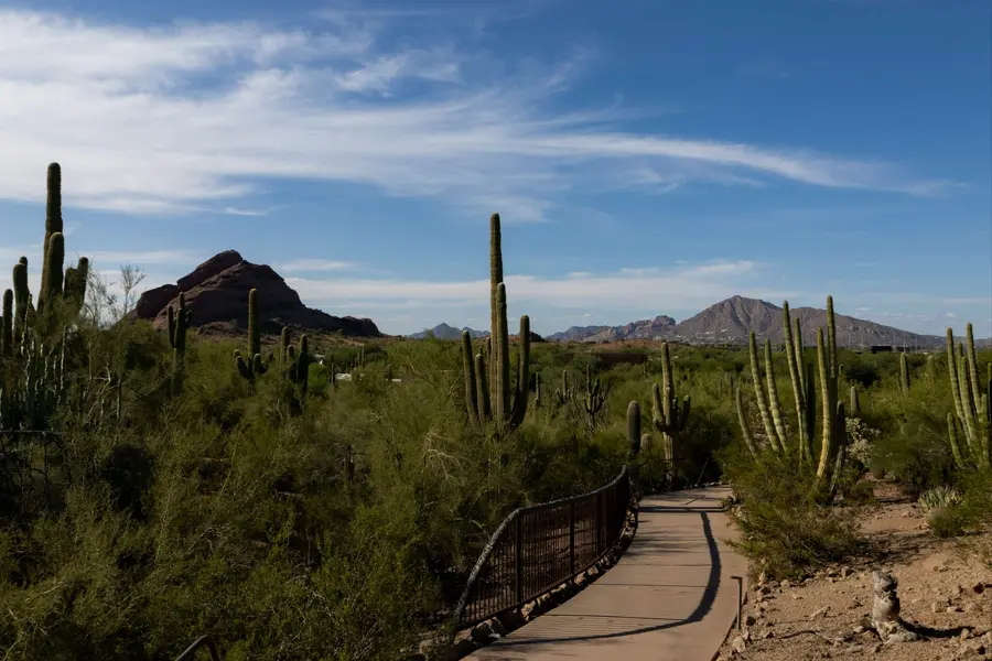 Cave Creek