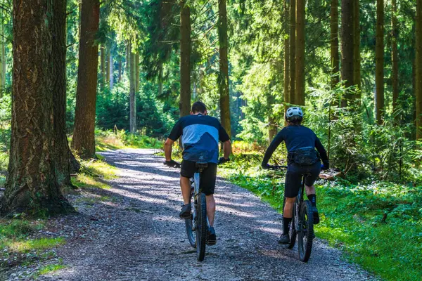 two people biking on trail with tall green trees