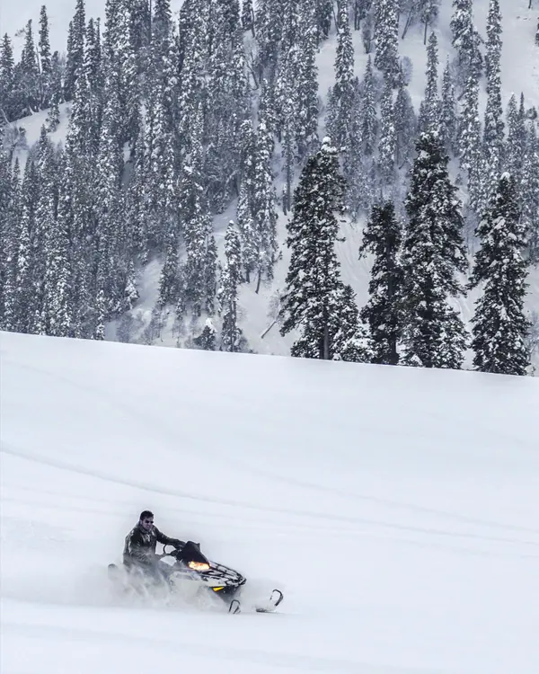 snowmobiling in the snow with tree background