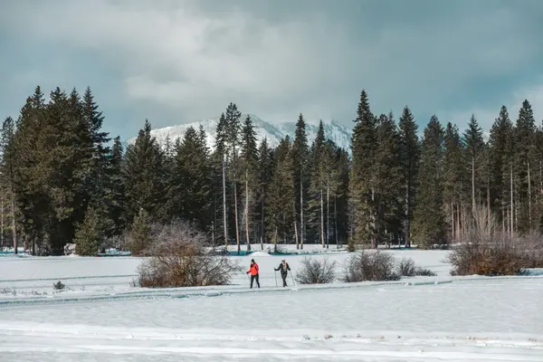 Cross Country Skiing at Suncadia
