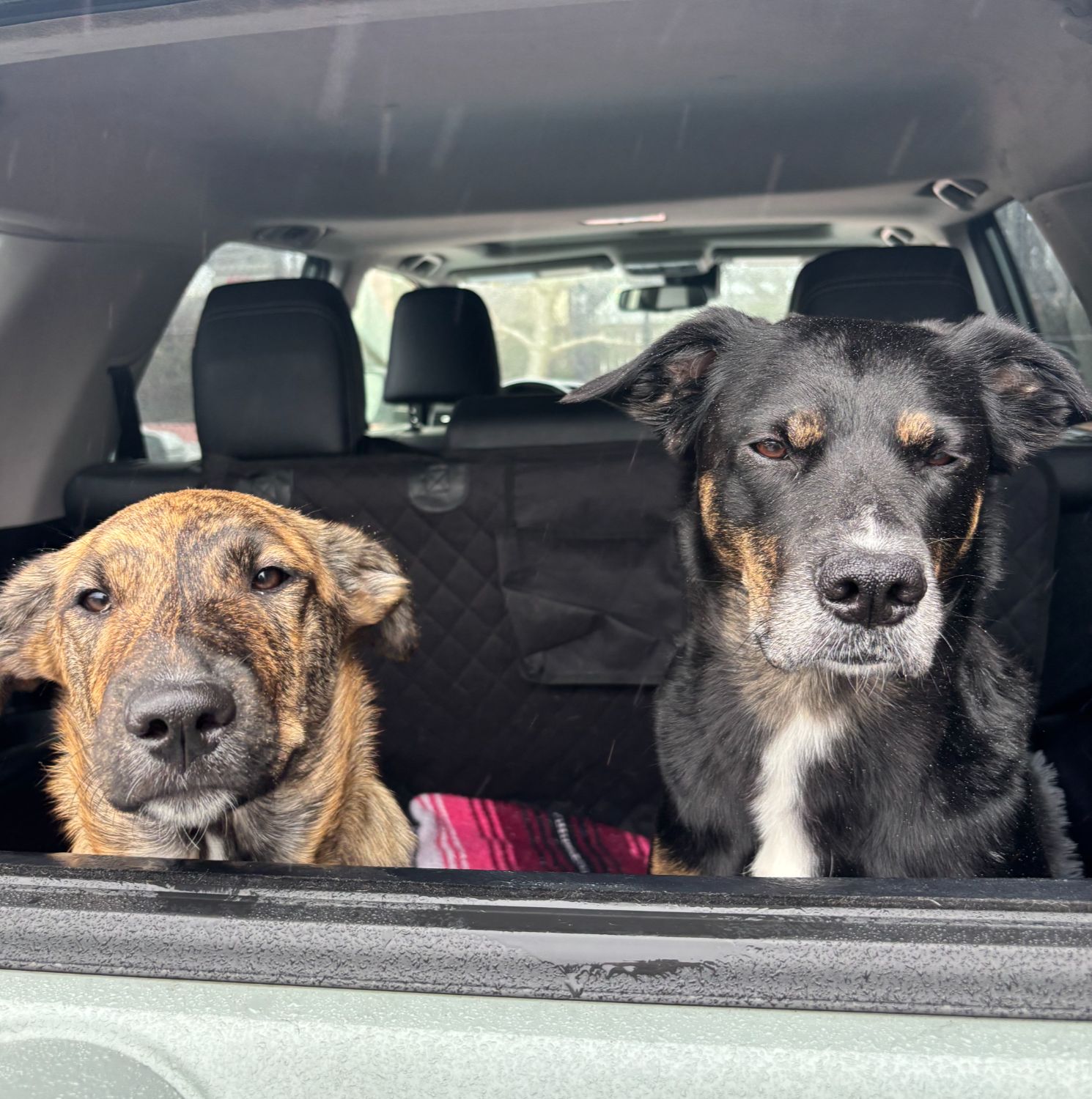 Scotia and Nova
