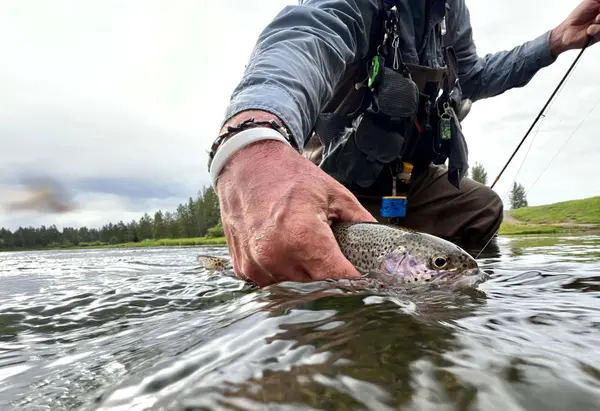 Montana Fly Fishing Properties