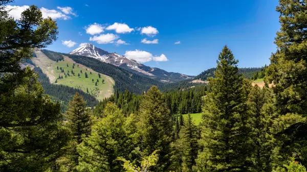 feature image of Buying a Montana Recreation Property: Where Lifestyle Meets Real Estate