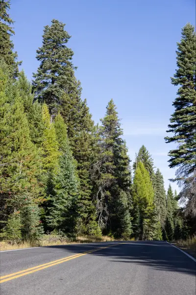 New Meadows