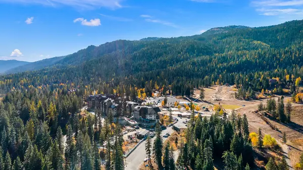 Tamarack 