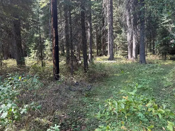 2325 West Mountain Road, Donnelly, ID 83615