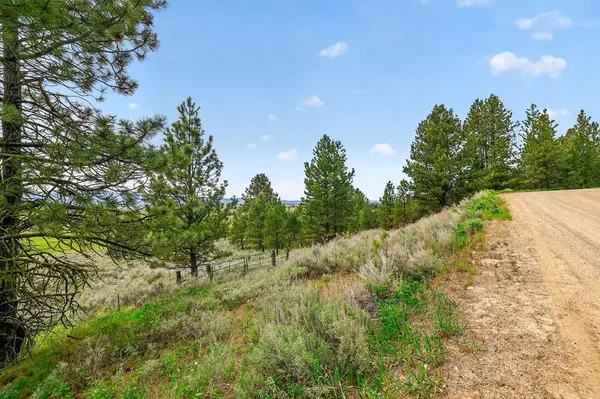 13301 Finlandia Road, Mccall, ID 83611