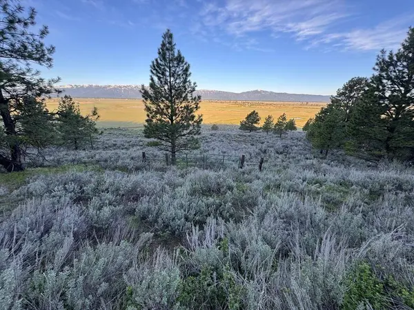 TBD Finlandia Road, Mccall, ID 83638