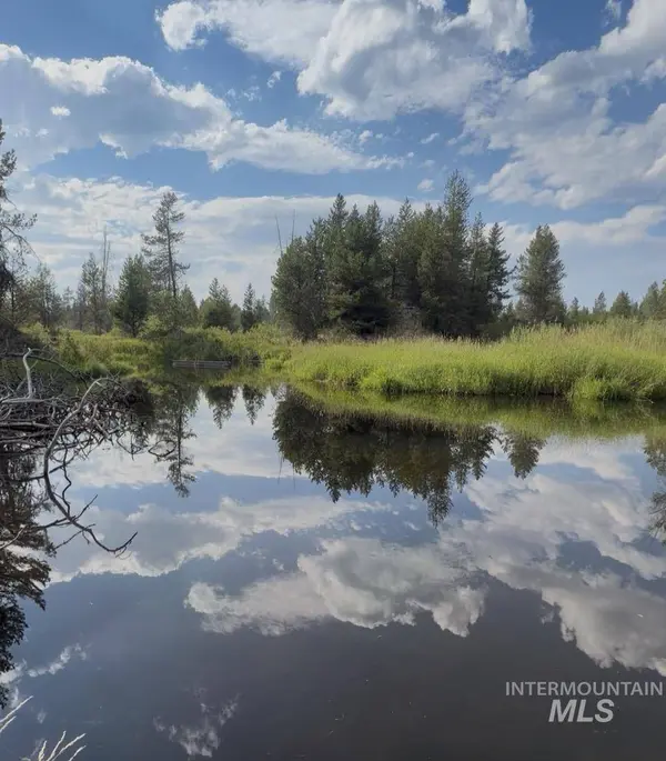 40 Black Pine Place, Mccall, ID 83638
