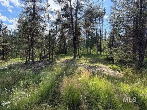 40 Black Pine Place, Mccall, ID 83638